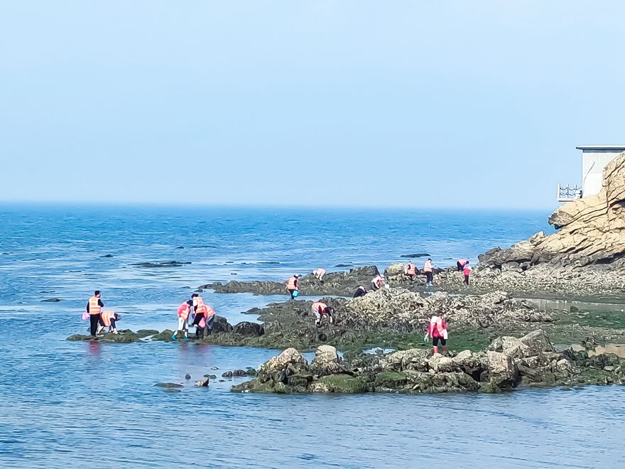 鳳鳴島旅游
