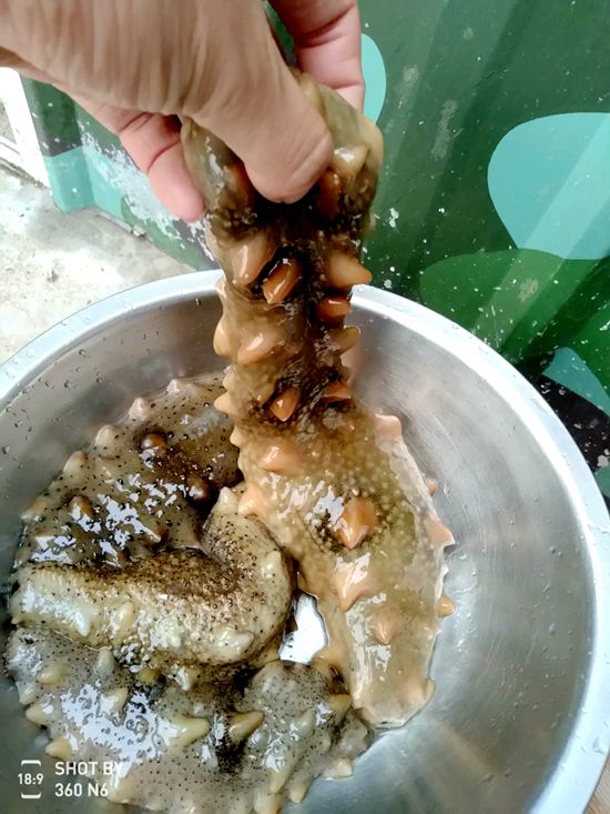 漁家樂