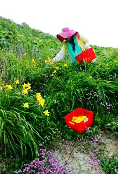 獐子島漁家樂