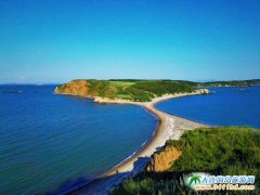 大連海島趕海之捉蚆蛸