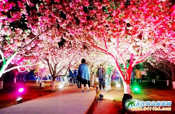 2018旅順203櫻花園門(mén)票