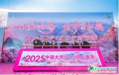 2025ɽNʽĻ,TƱͨ·